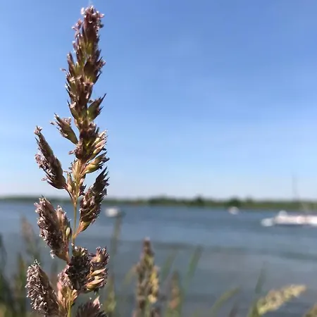 Zaligheid * Lage Zwaluwe