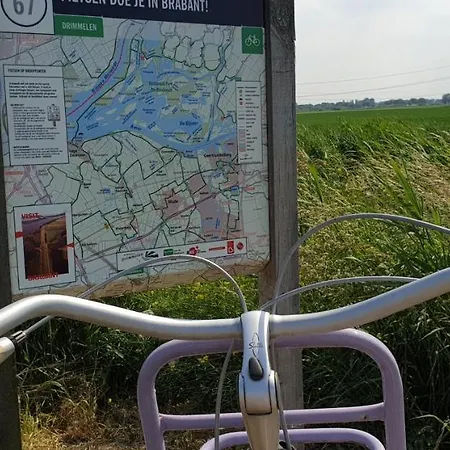 Apartamento Zaligheid